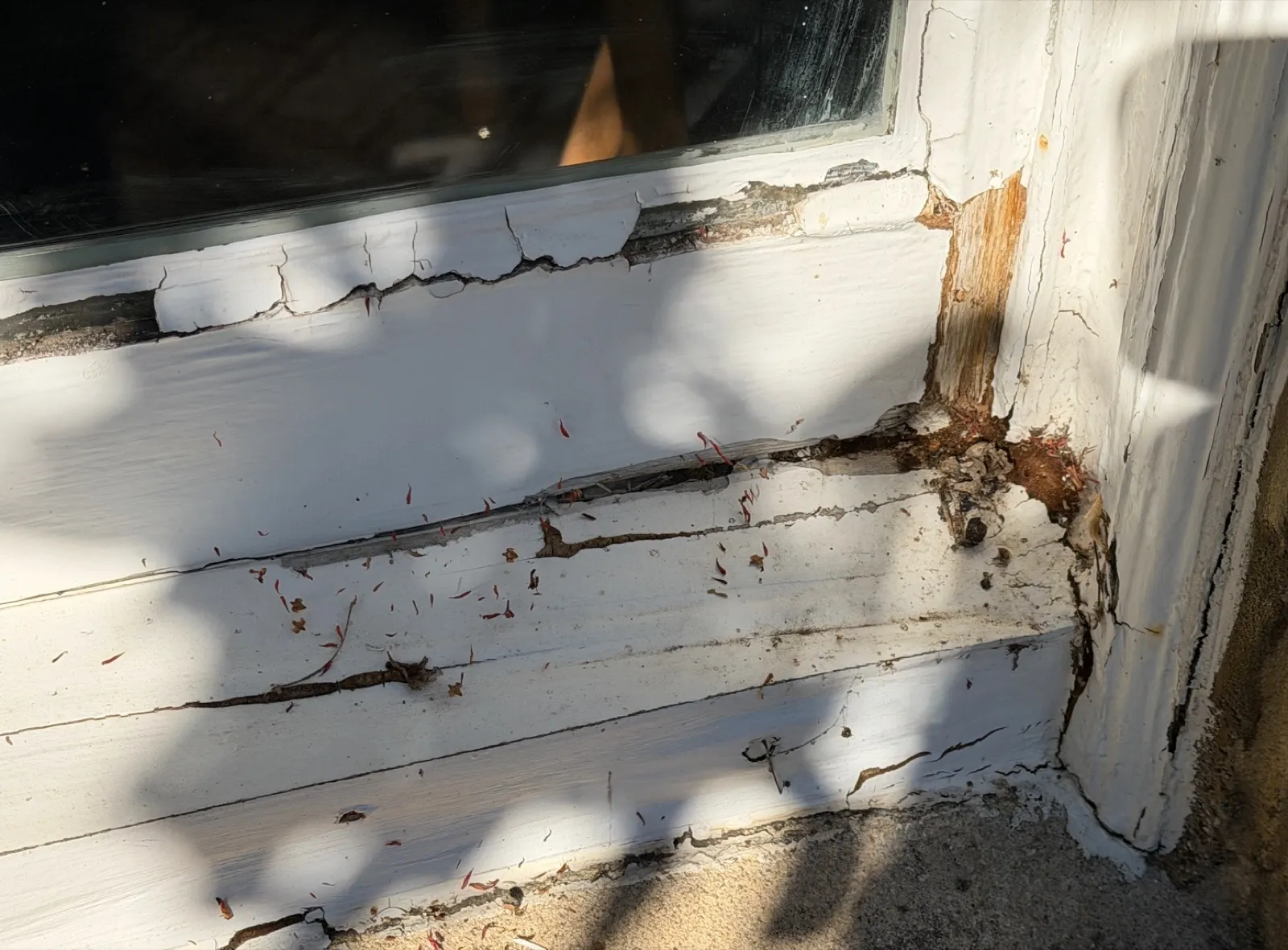 Severely rotten wooden window sill with peeling paint, splitting timber and exposed wood at the corner — a classic candidate for full sill replacement before the rot spreads into the frame