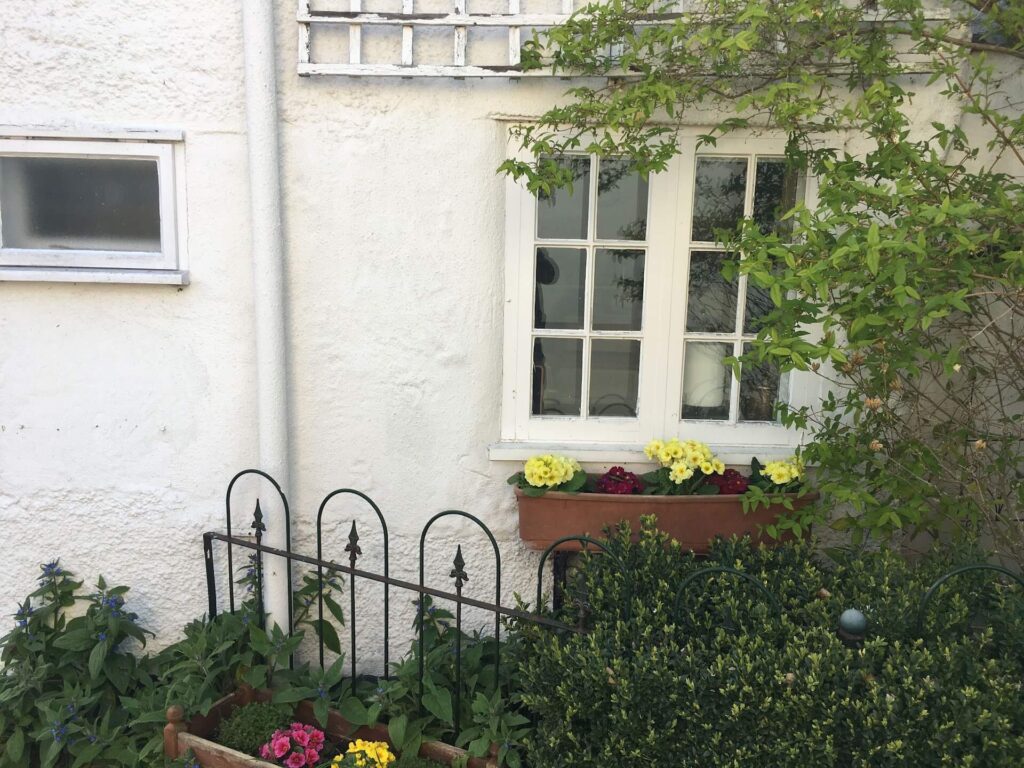 Replace or restore timber windows